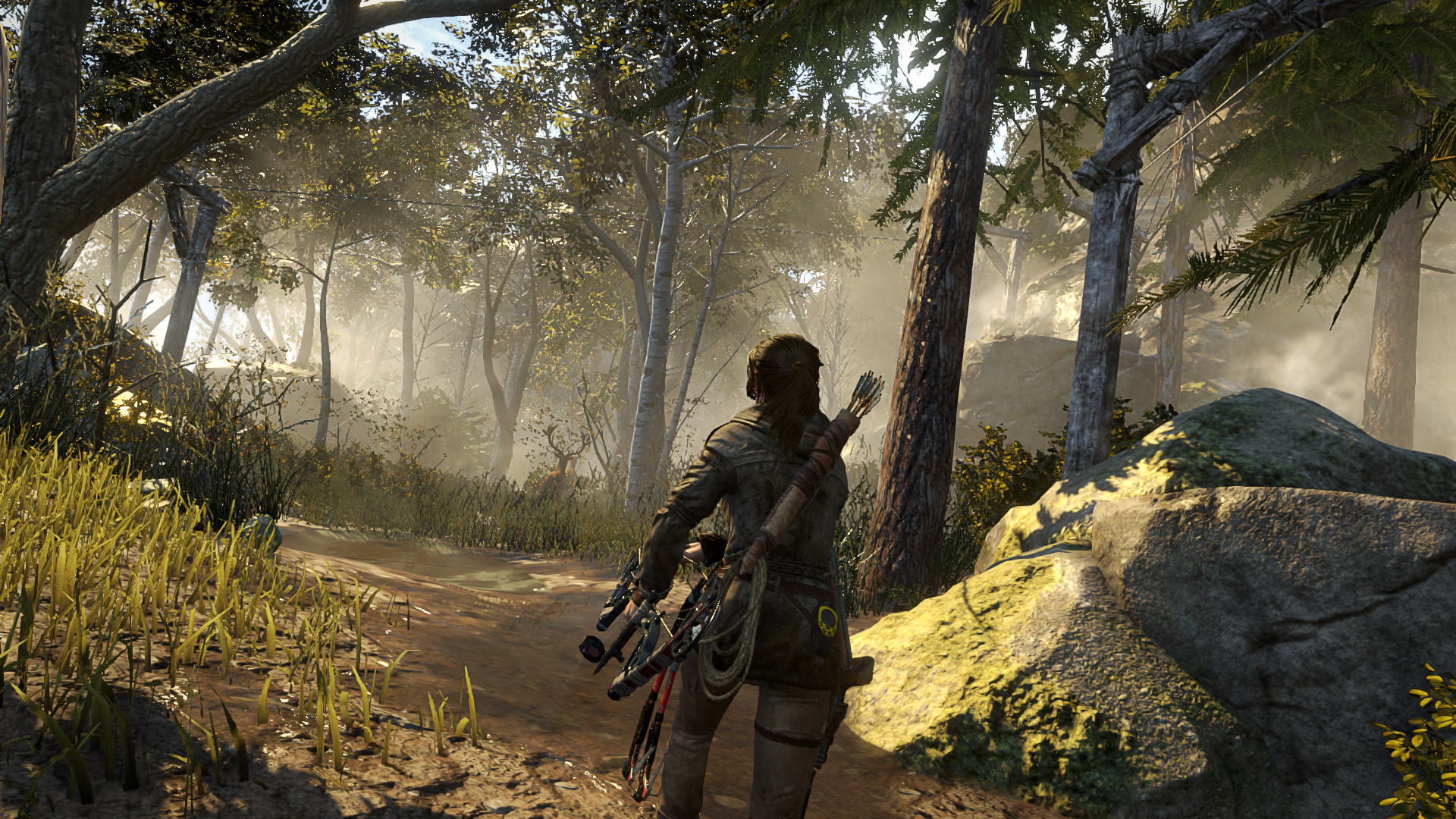 Tomb Raider 9