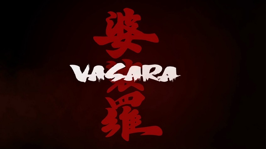 VASARA video game