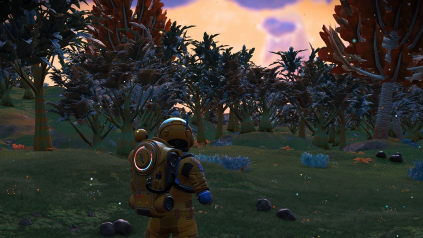 3rd Person view of your character from No Man's Sky Next