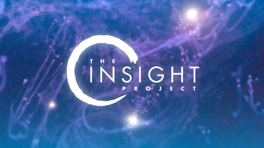 Insight Project