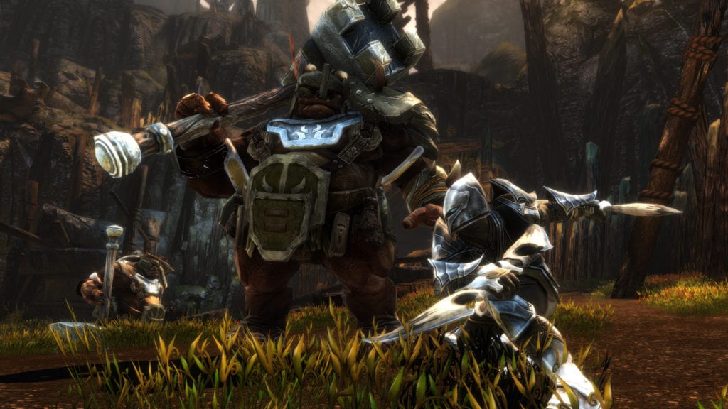Kingdoms of Amalur Re-Reckoning