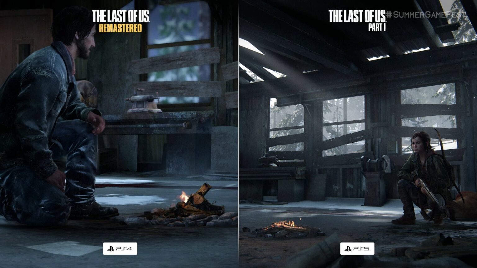 The Last of Us